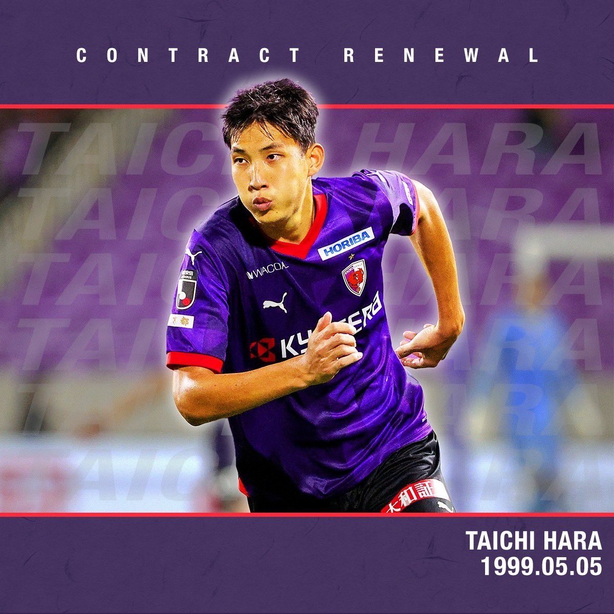 京都サンガFC 選手支給品 ピステL 京都サンガFC 選手支給品 ピステL