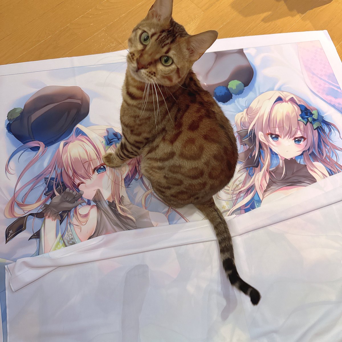 🌟C105 翡翠亭BOOTH受注通販🌟 🌸瀬名愛理抱き枕カバーsj有ver