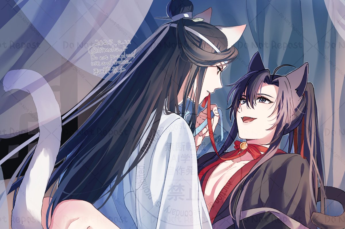 🐾にゃんにゃんにゃん🐈‍⬛2025.0222