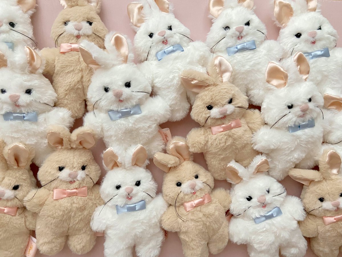 𝘈𝘬𝘪 . 𝘗𝘩𝘳𝘢𝘶𝘭𝘢* (@aki_phraula) / Posts / X