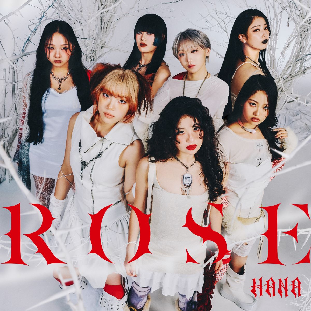 ROSE 告知　ポスター　Rose　1月18日までの出品 HANA