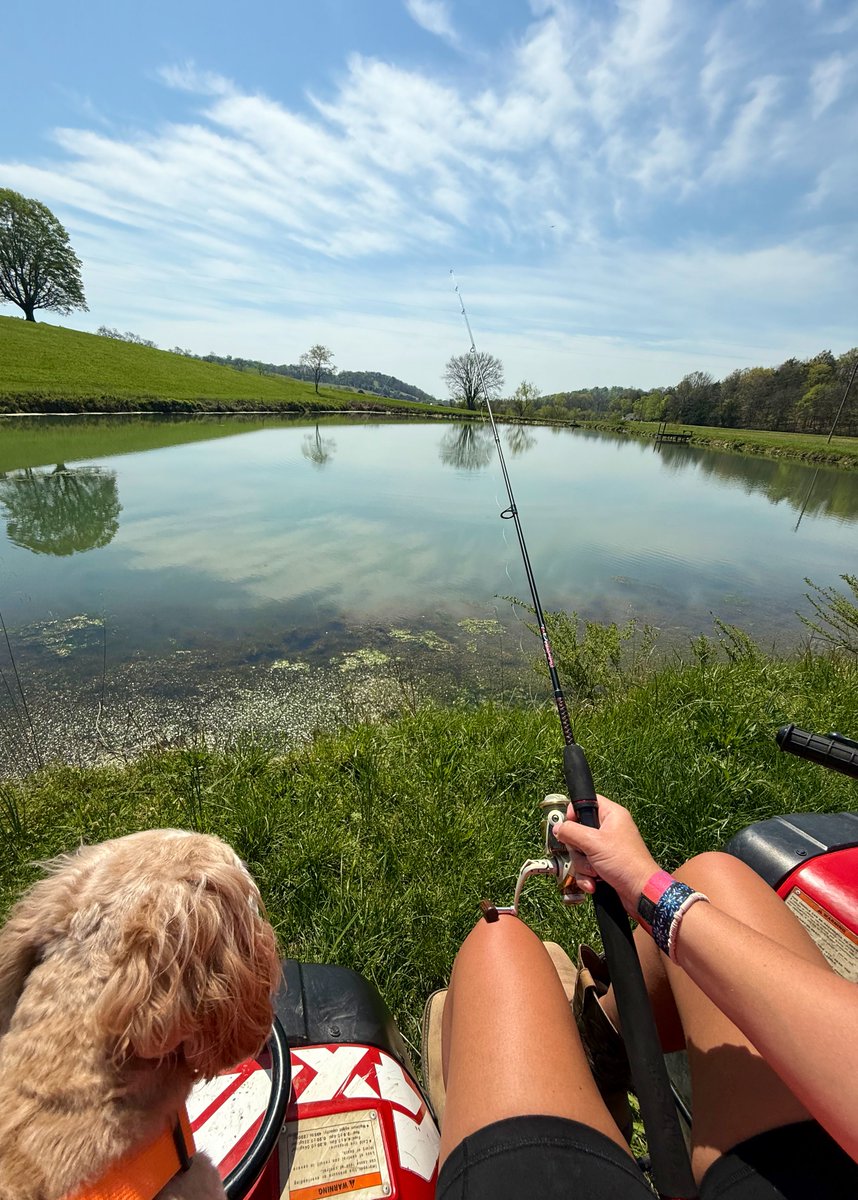 Rachel (@allthedogspleaz) / Posts / X