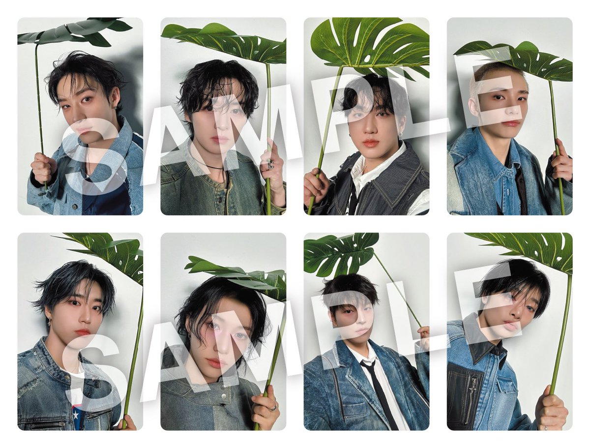 StrayKids スキズ hollow タワレコ エコパ トレカ スキズ Hollow タワレコ エコパ限定特典トレカ5枚 - メルカリ