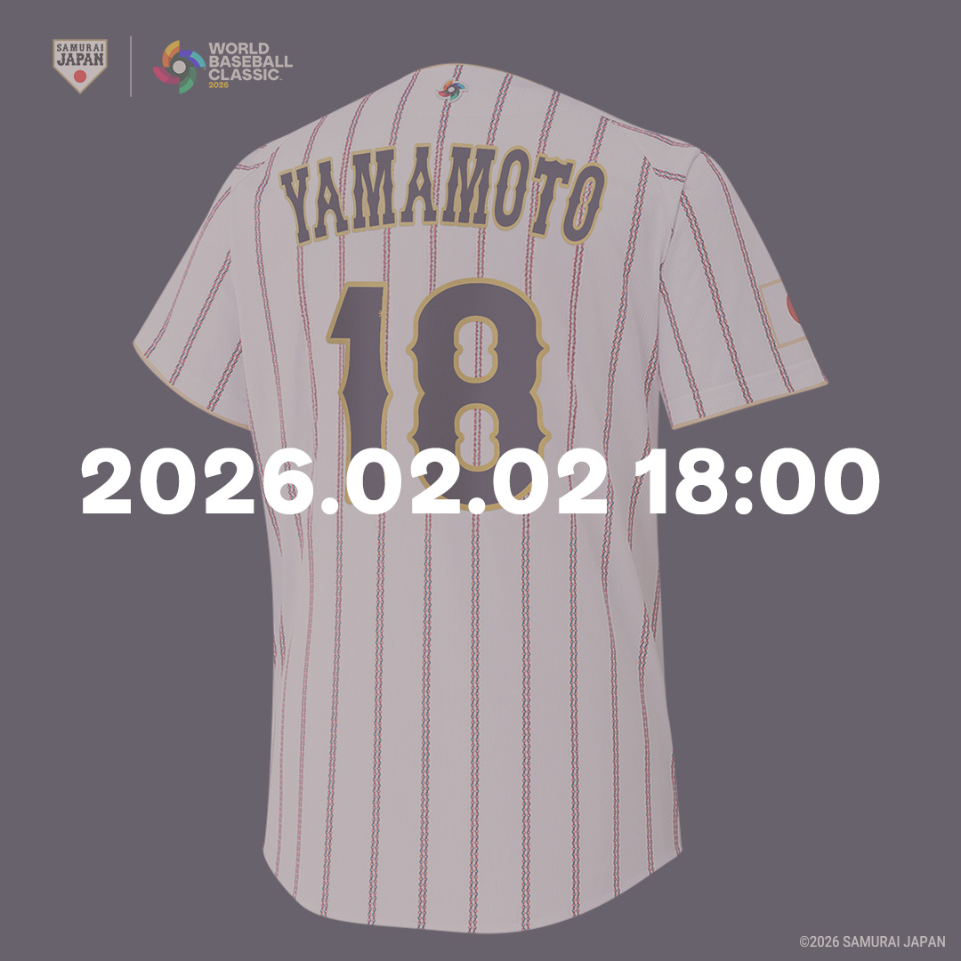 値下げ】【MLB選手も使用】valle eagle pro 27 値下げ】【MLB選手も