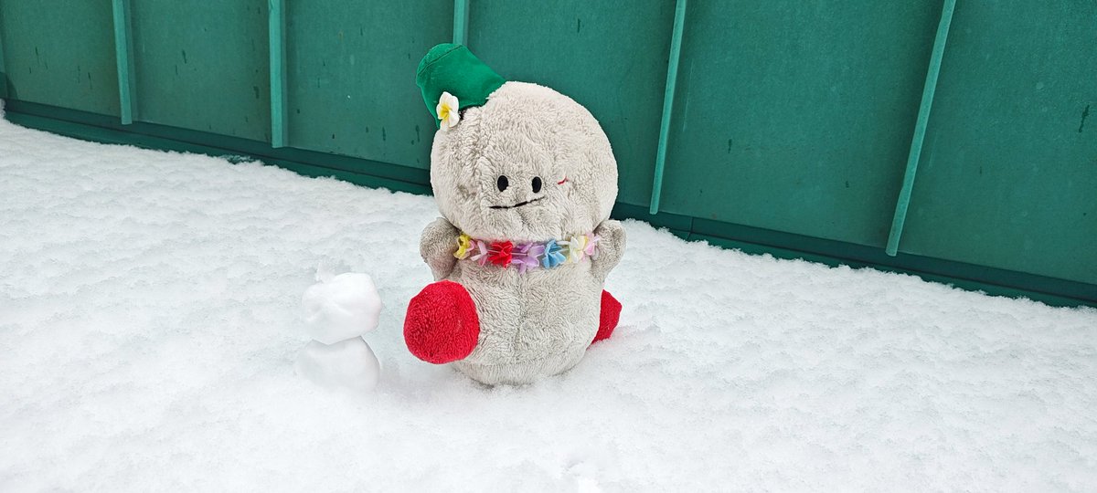 雪が止んできたなのぉ〜😢☃️🩵 ゆきだるまちゃん作ゆきだるま☃️❄
