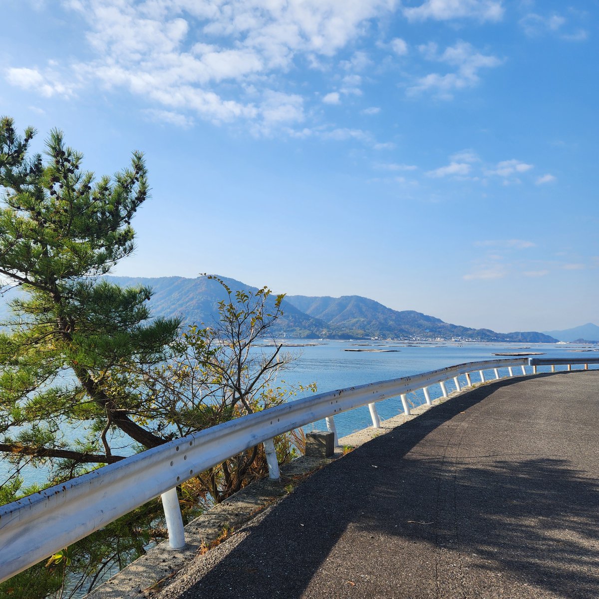 Day 306! Good morning! 15°/10° It's going to be a warm one! We don