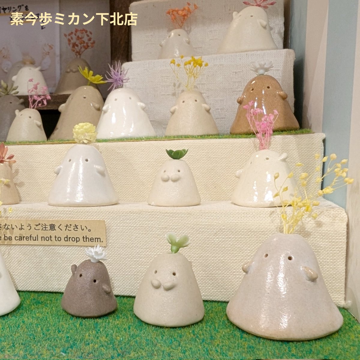 先日【素今歩ミカン下北店】に納品しました！ かめさんとむきっちょ(小