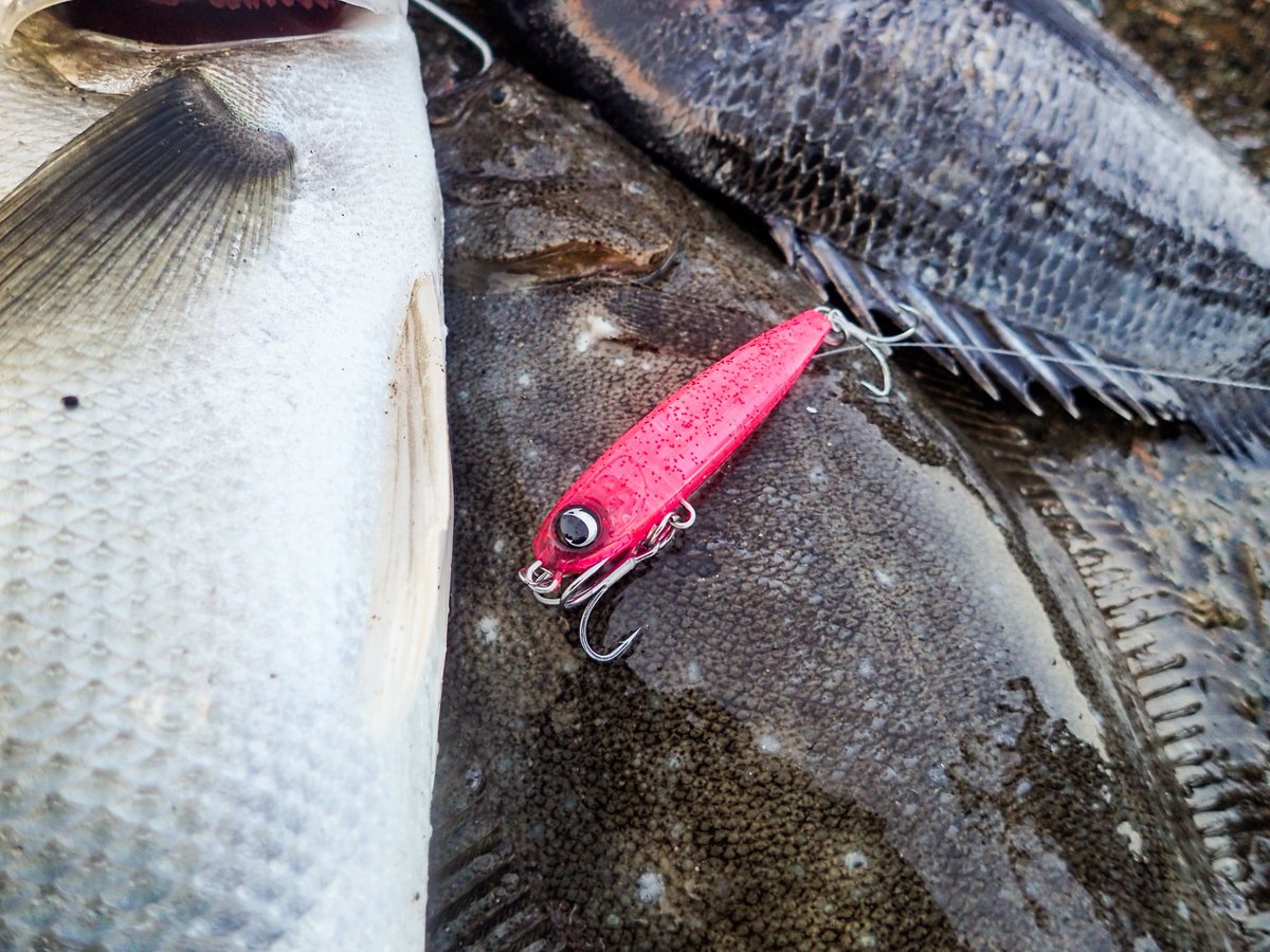 パパアングラー (@yutaro3225188) / Posts / X