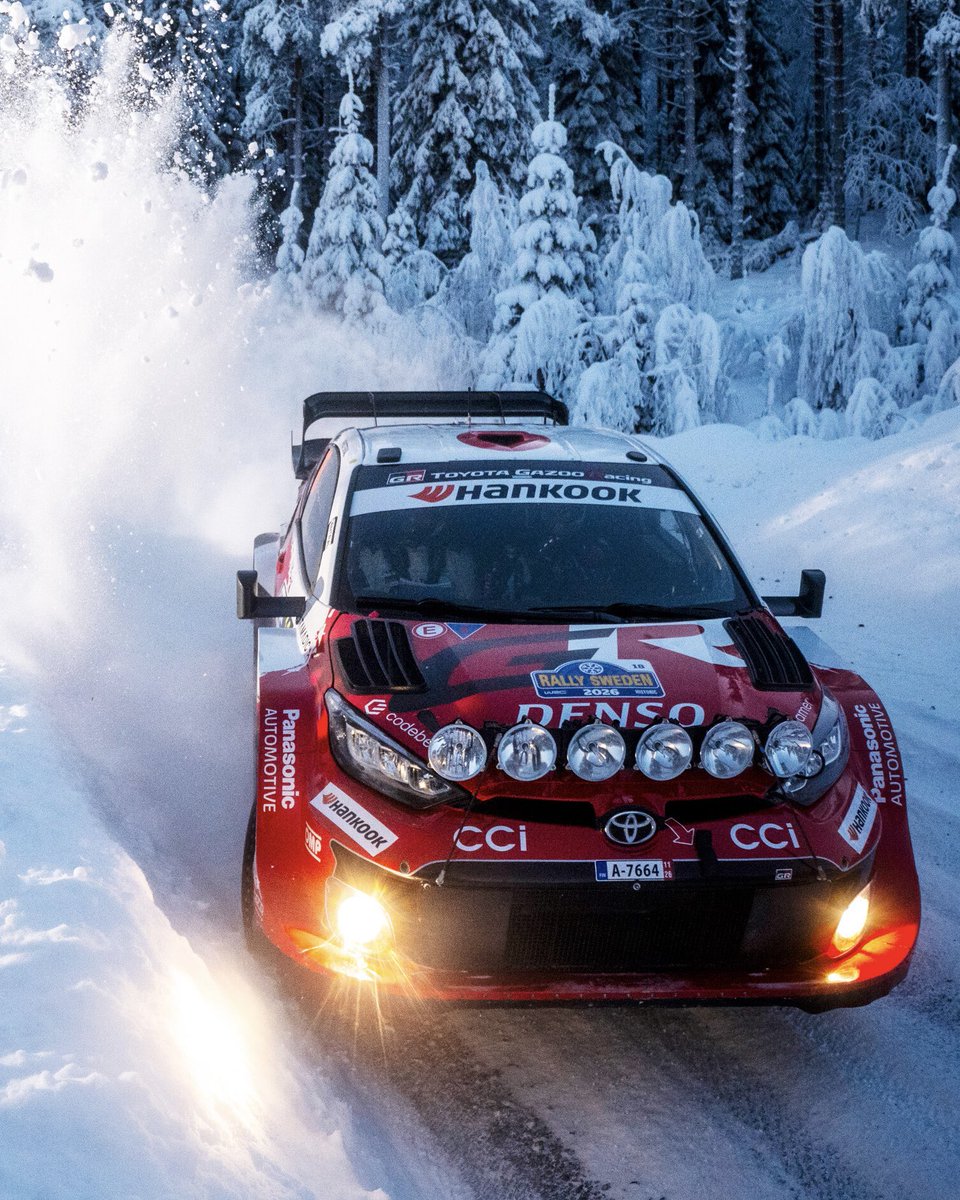 🐾飼い猫のきき🐾 🎼.•*¨*•.¸¸🎶 (@KainekonoKiKi) / Posts / X