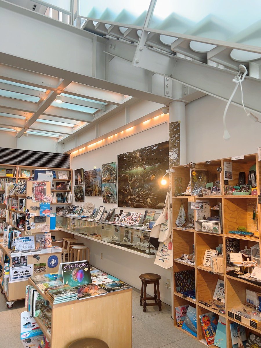 シャチ好きさんにはたまらない逸品たち🐟 キラキラしたイルカの仲間や