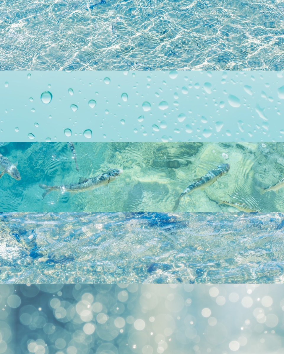 アクアマリンの調べ