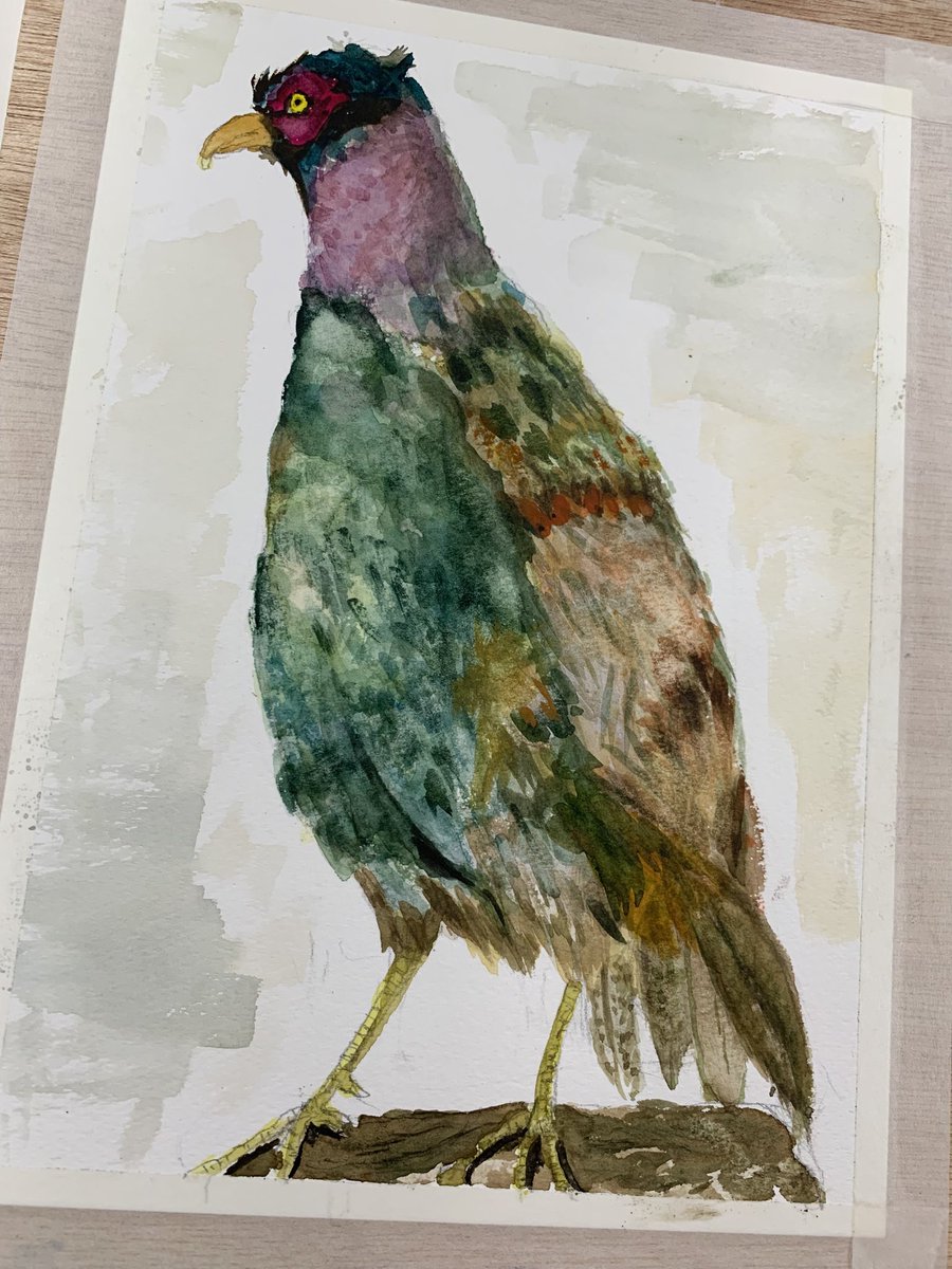 本日の木曜水彩教室🖼️ みんなで鳥を描きました。 「キジ」「サギ