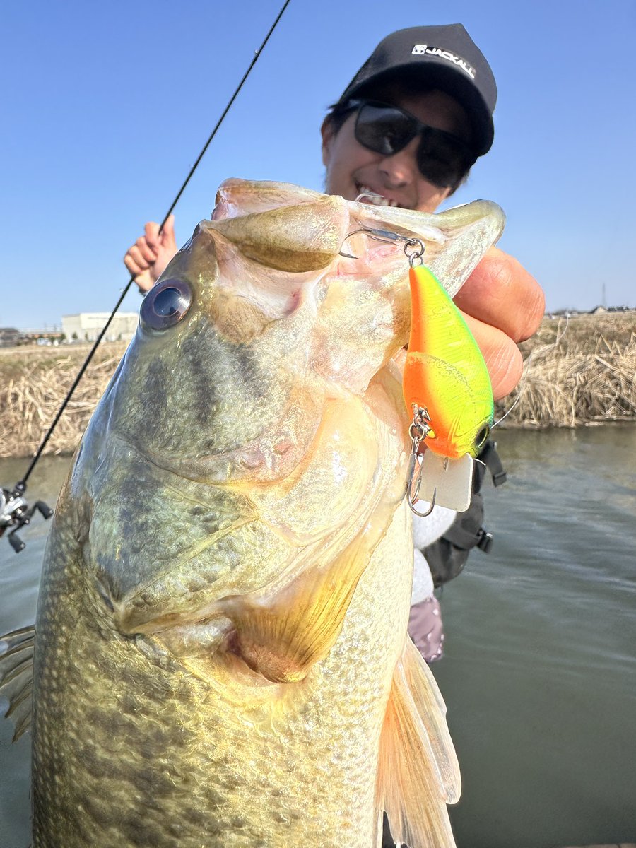 JACKALL BASS FISHING (@JACKALL_Inc) / Posts / X