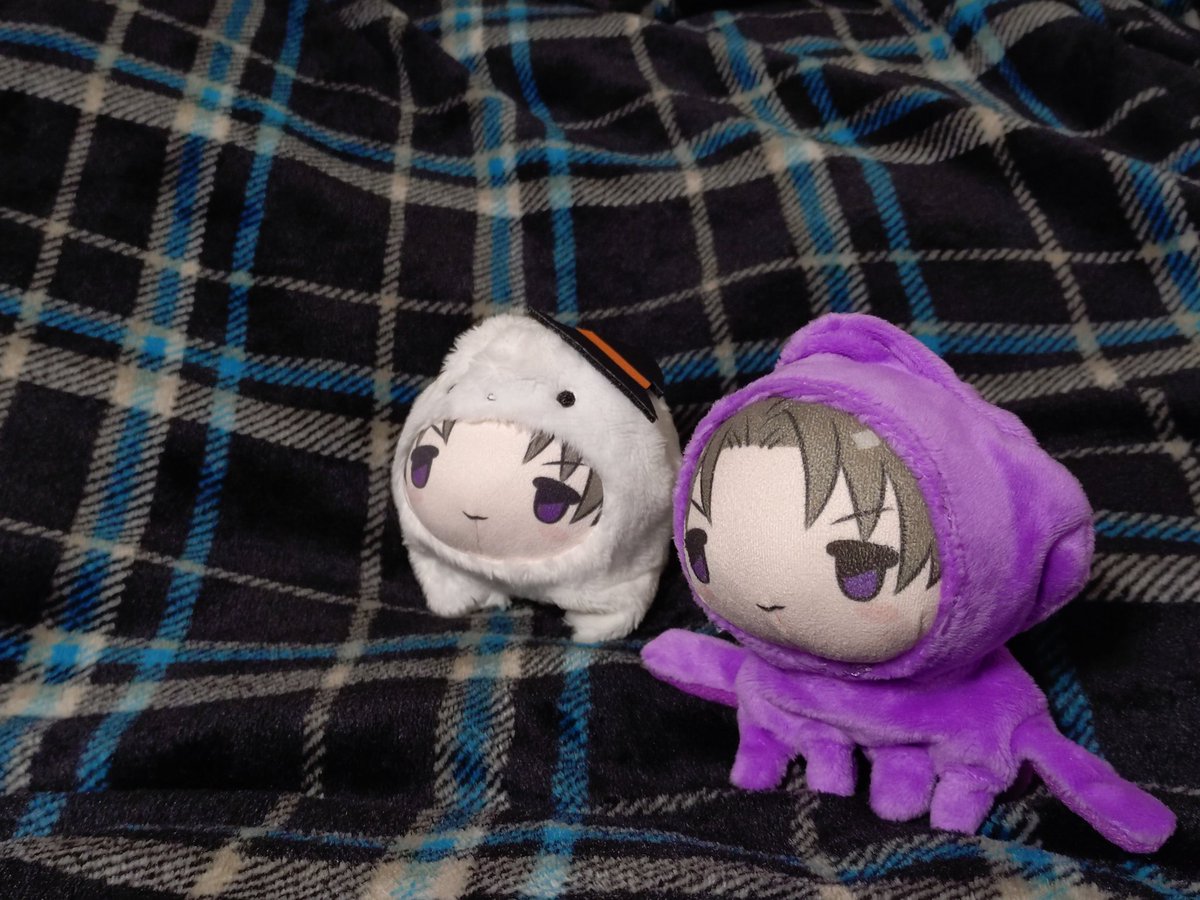 ﾜｻﾜｻﾜｻ……ﾜｻｻｻｻｯ……