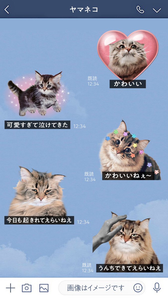 かわいい、〇〇したい、〇〇出来てえらいねえ〜などの40個セット！ 猫
