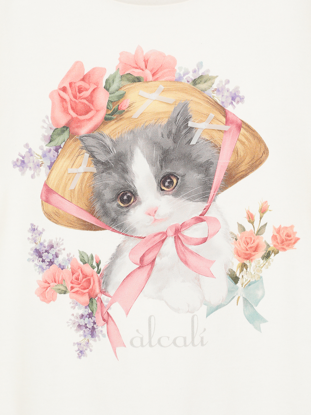 ピンクの猫 ピンクの猫 ピンクの猫 様 Amazon | ライブDio ZX AF35 立体