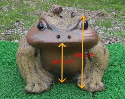 訳あり】信楽焼（しがらき焼）特大 福蛙25号（子2匹）置物【特価/通販