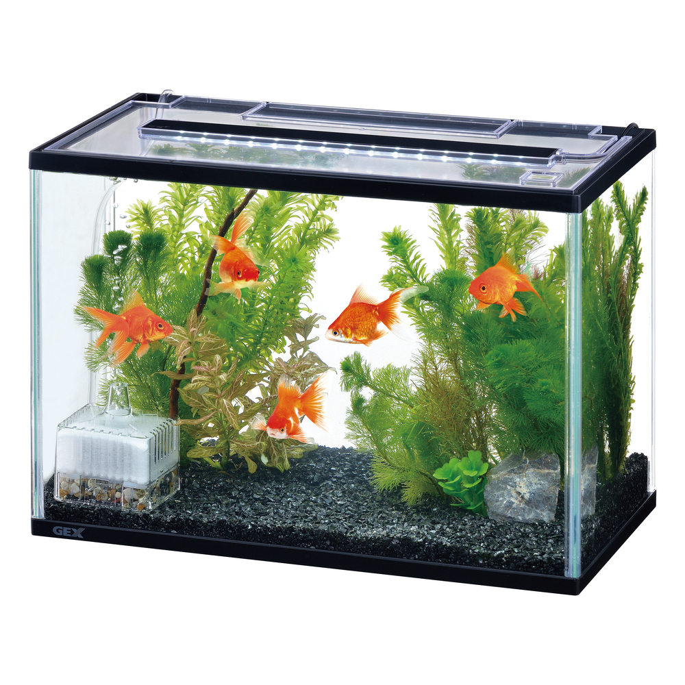 アクアブラックセット400 | ジェックス株式会社