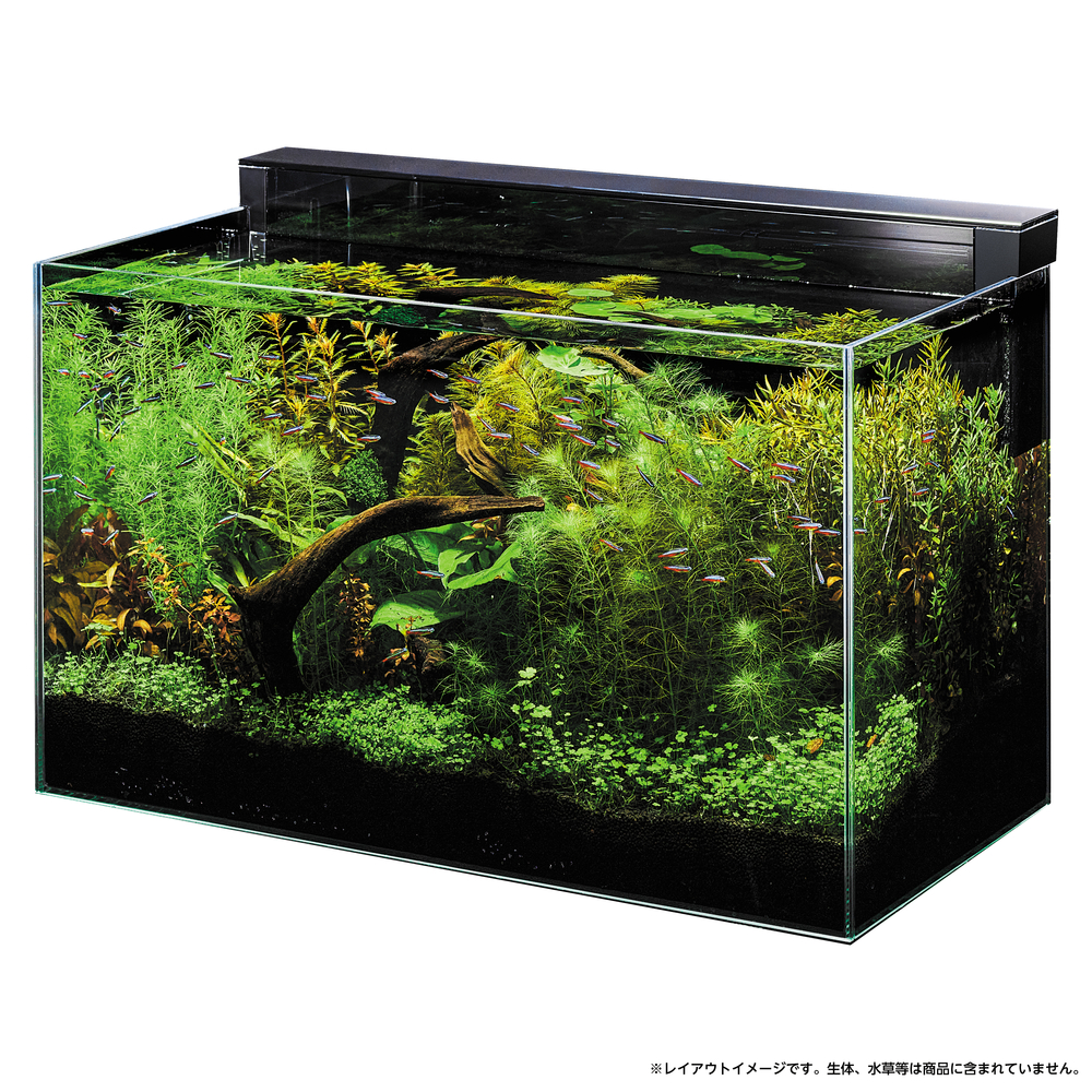 未使用品！ GEX アクアリスタ グラスカスタム600 上部フィルター 未