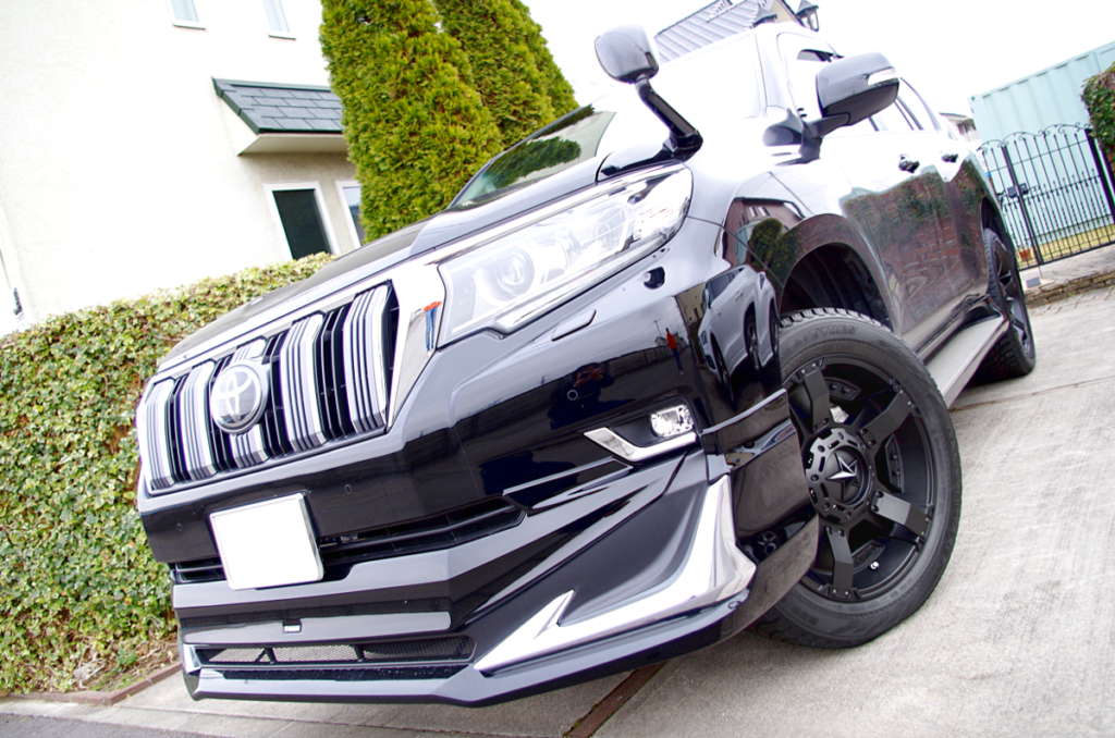 ヨーグリーナさん専用 プラド20% ヨーグリーナさん専用 プラド20% 2025