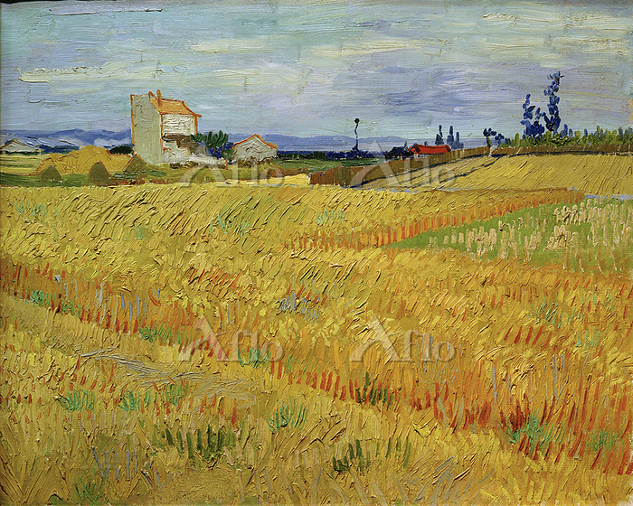 ゴッホ「麦畑」 [87556251]のアート作品 - アフロ
