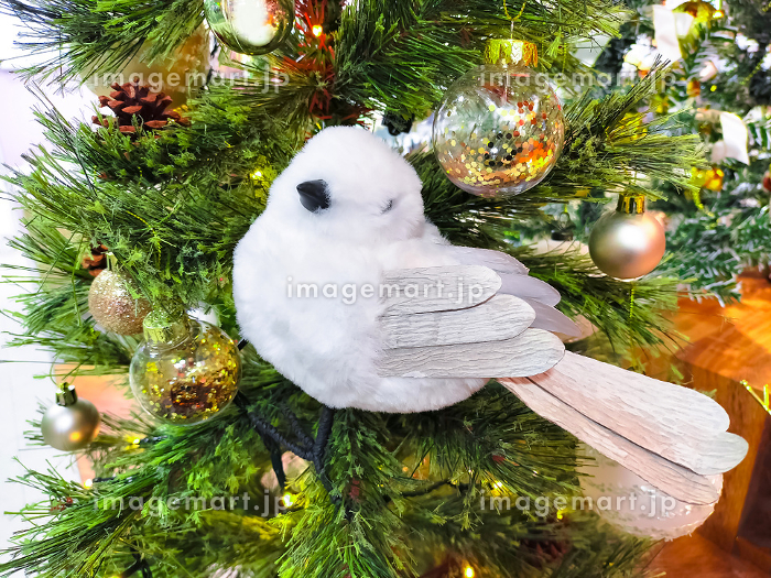 シマエナガの飾りがついたクリスマスツリーの写真素材 [235211465
