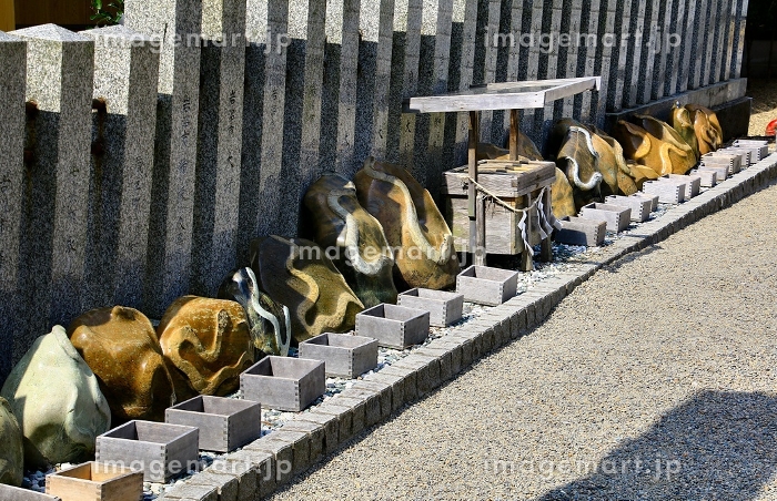 待ち受け画面にすると…金運向上♪ 宮城県・岩沼市『金蛇水神社』の蛇紋
