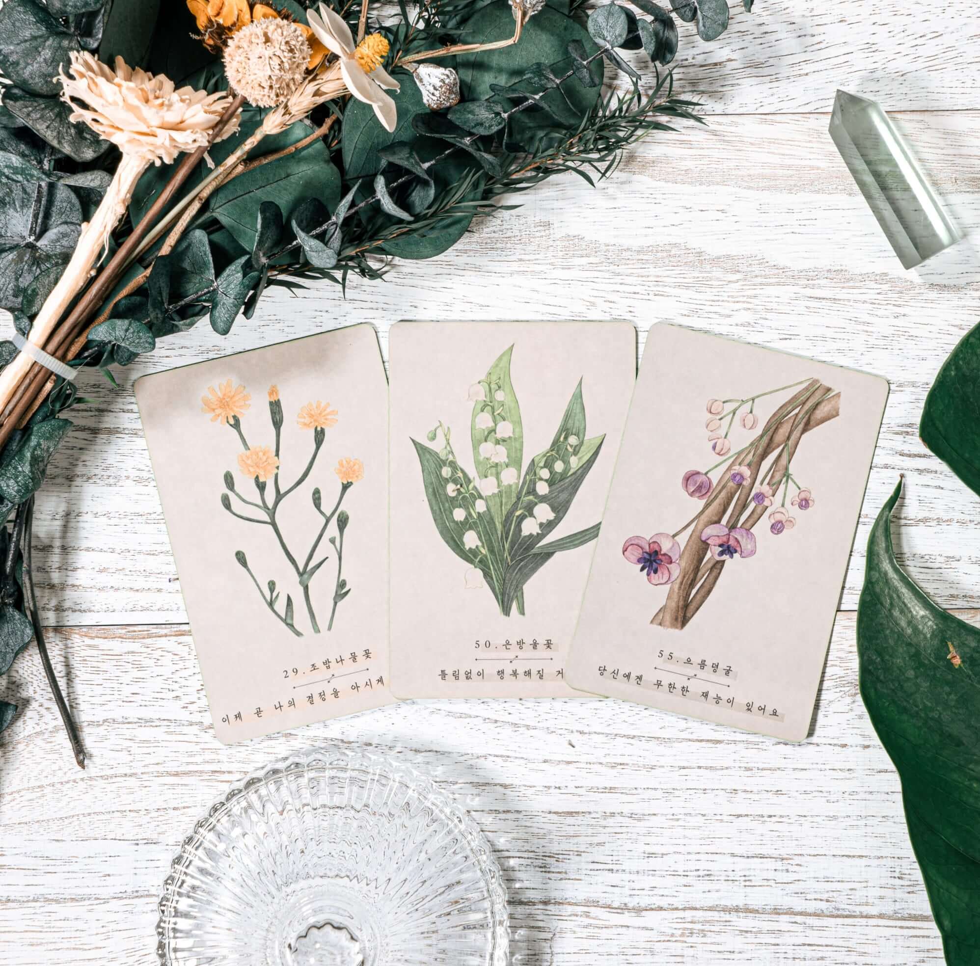 PRIME MUSE 韓国の野生の花のアドバイス オラクル タロット カード日本