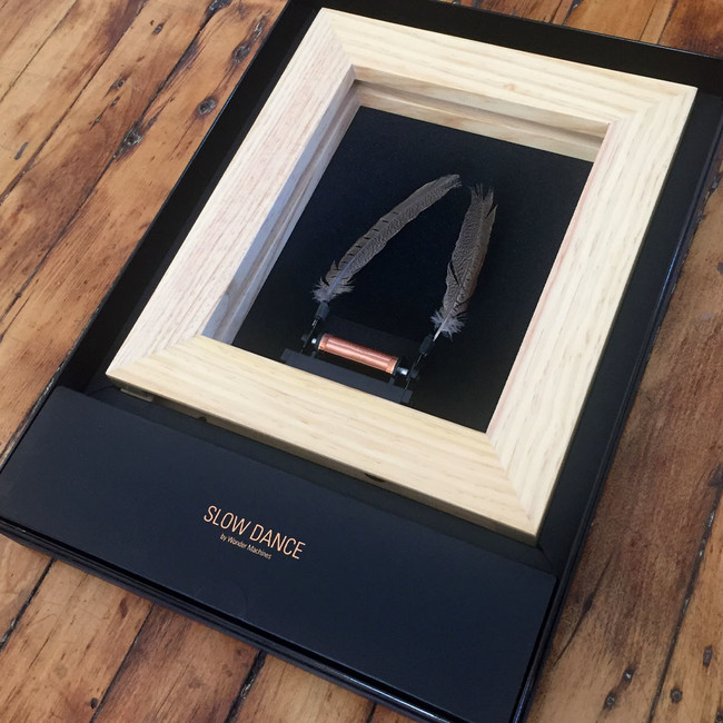 スイッチ一つで空間をオシャレに！おうち時間を非日常に変える魔法の