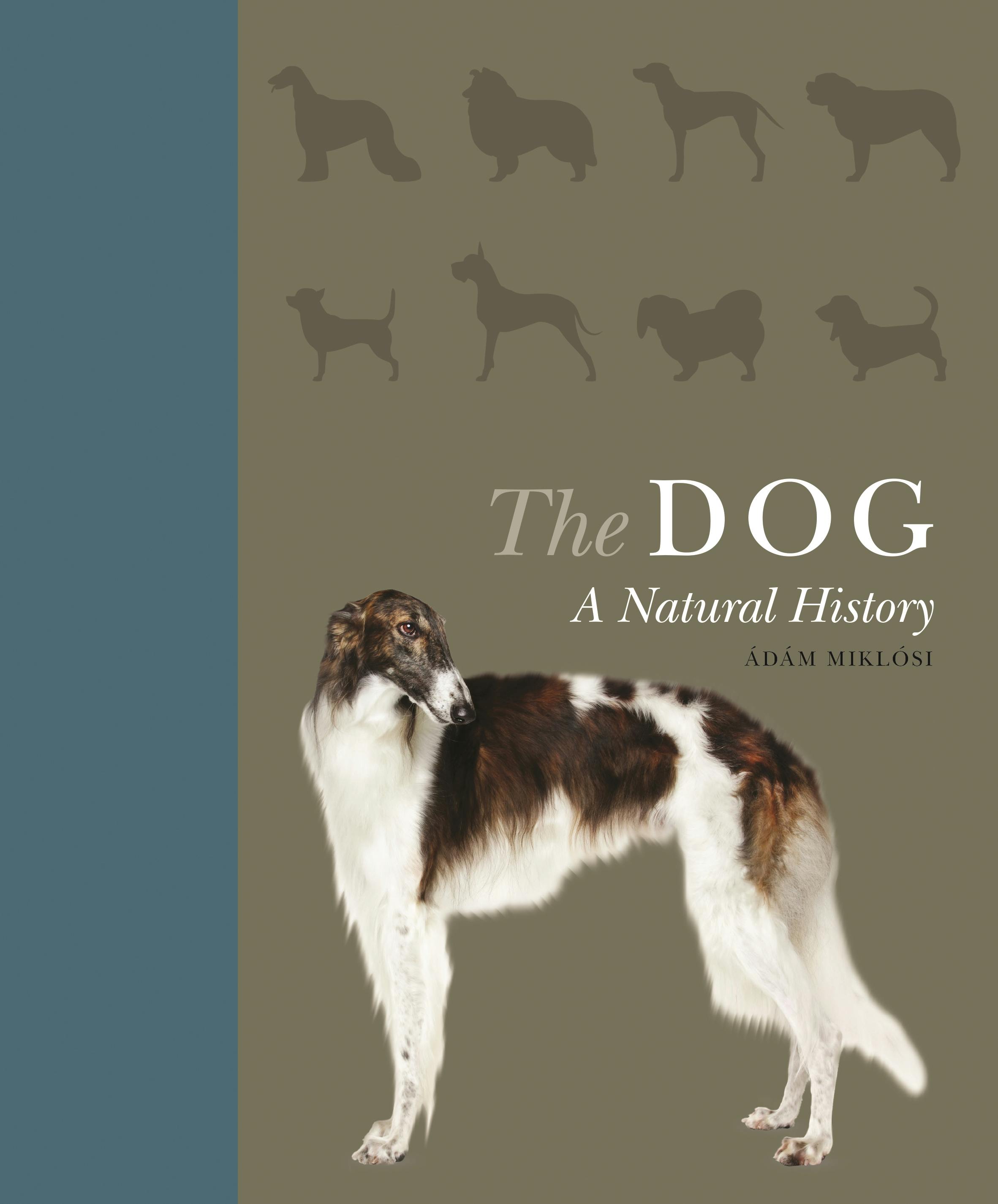 The Dog | Princeton University Press