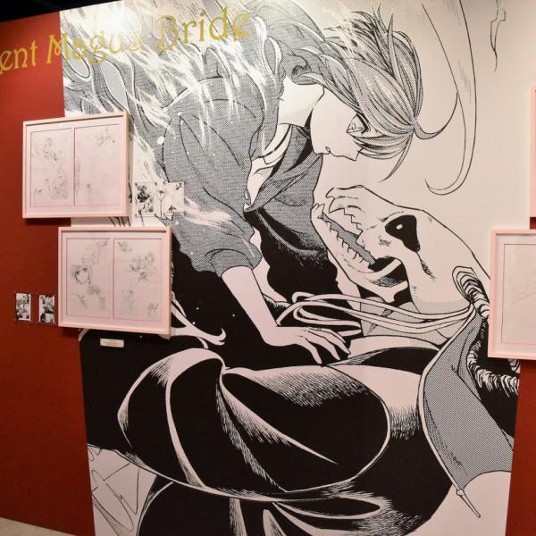 10月にはTVアニメ放送『魔法使いの嫁 原画展』開催中！ アナログと