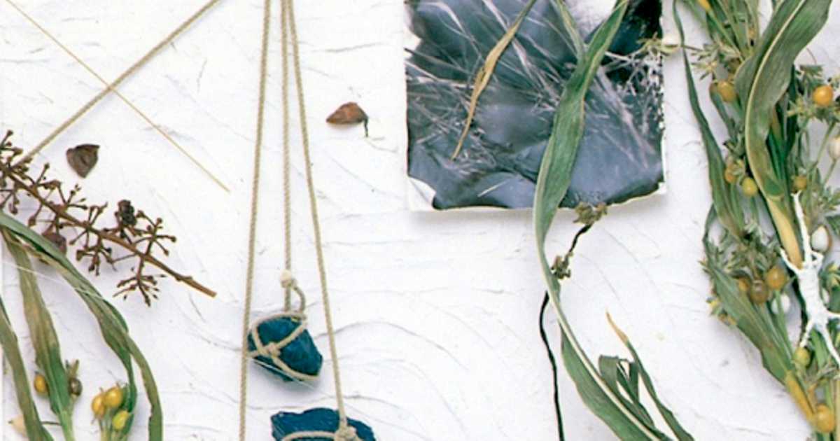 真島昌利初のソロアルバム「夏のぬけがら」は秋の始まりに聴くのがピッタリ