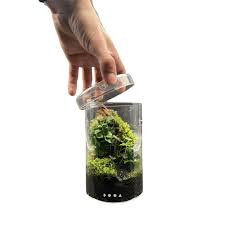 DOOA Glass Pot Maru 95 | Red Leaf Aquascaping