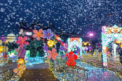 2025 Latest] A thorough guide to the illuminations at Izu Granpal