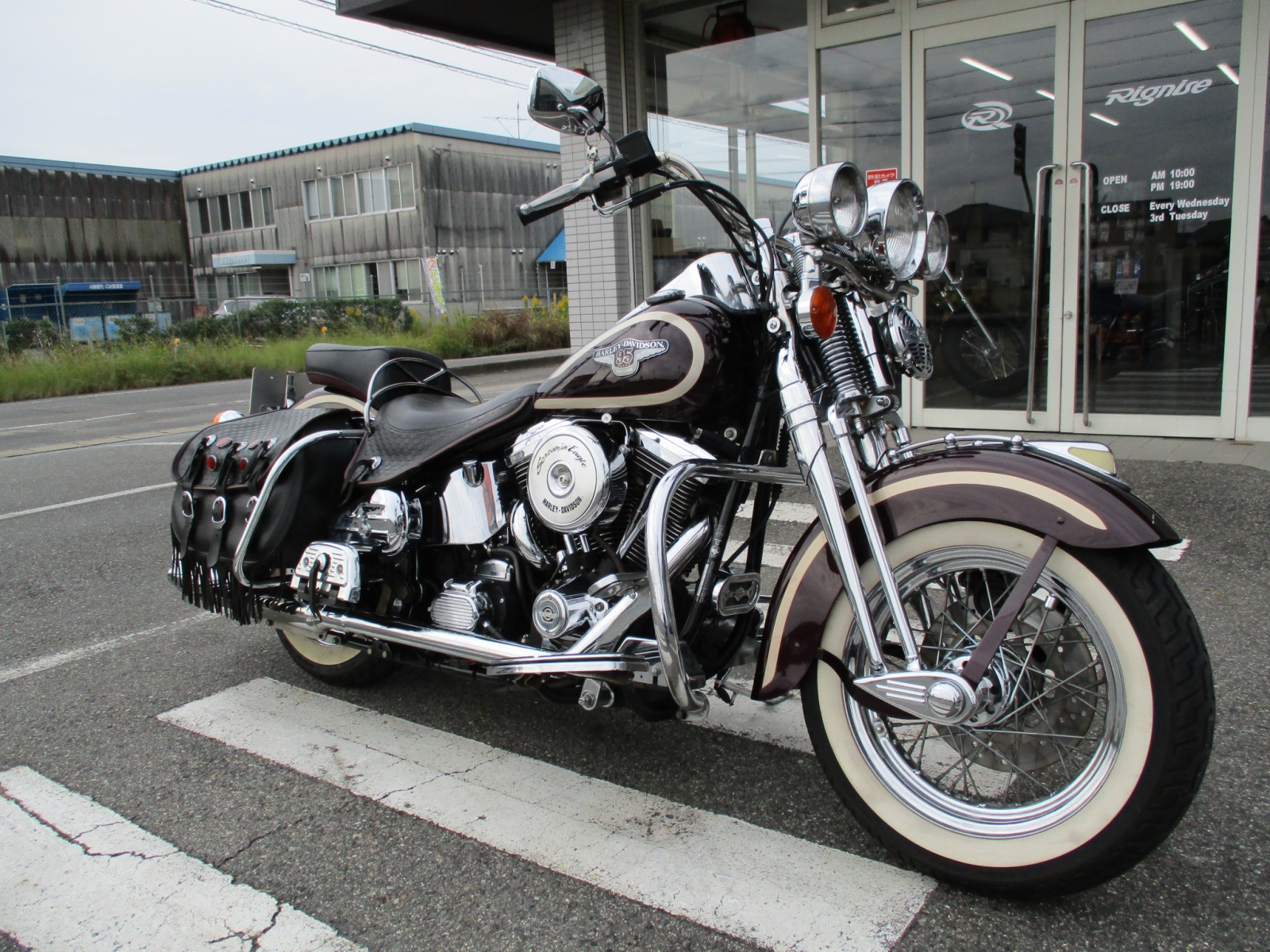 1998 FLSTS ヘリテイジスプリンガー 95th限定車: リグニス愛知