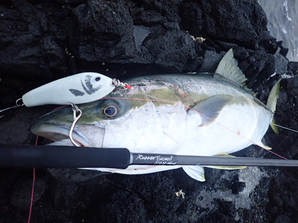 テストレポート】RunnerExceed 110H PlugModel(仮) | リップル