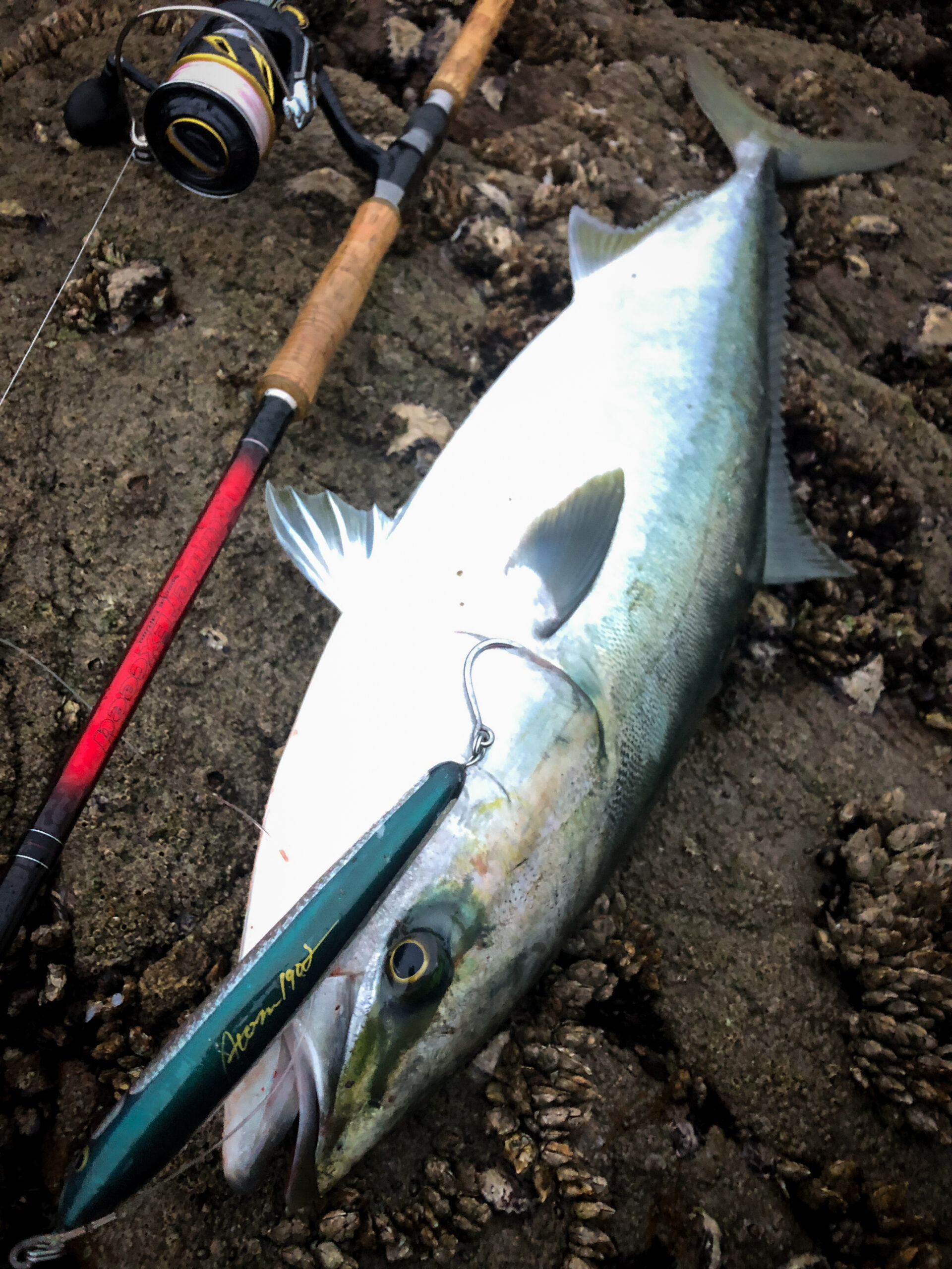 RunnerExceed 104H Nano PlugModel / Special Edition ショア青物・釣