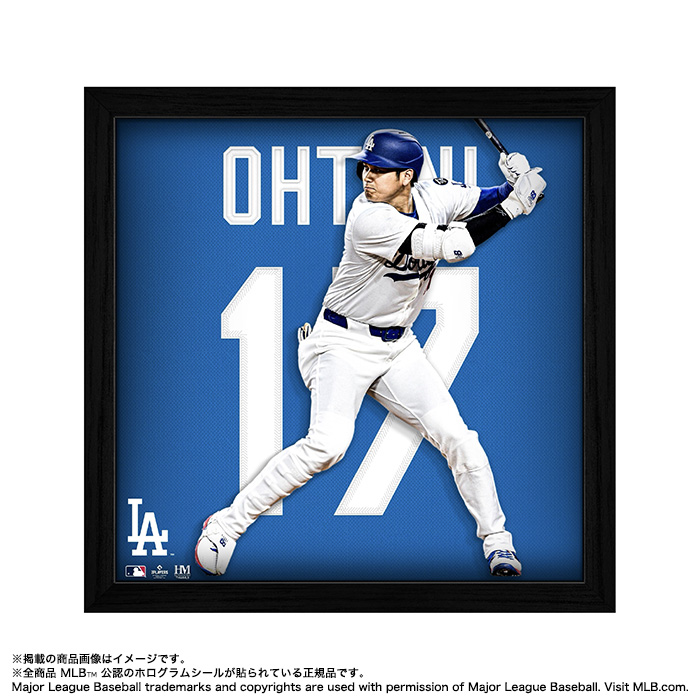 大谷翔平 2017オープンハウス 非売品 東京ドーム 配布カードセット