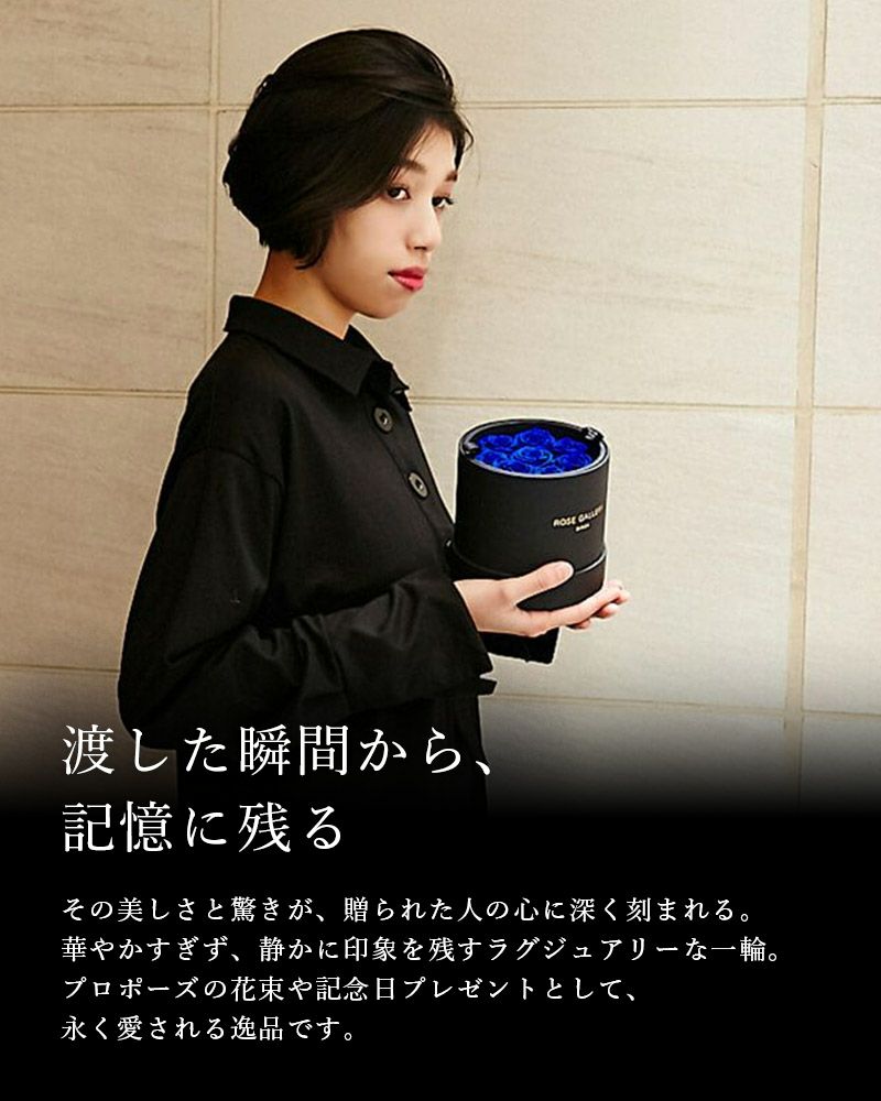 アンダーザローズ(S-N8) | ローズギャラリー銀座 オンラインショップ