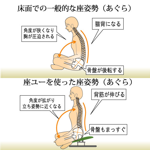 ZAU-03 背付き座ユー – 【公式】ルネセイコウWEBサイト