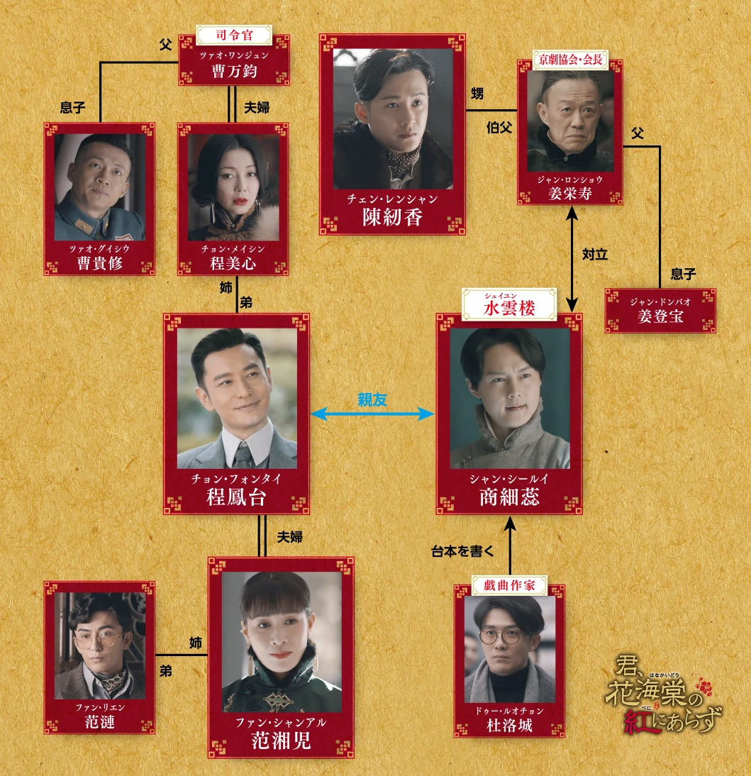 君,花海棠の紅にあらず レンタルDVD 中国ドラマ 全巻完結セット 君,花