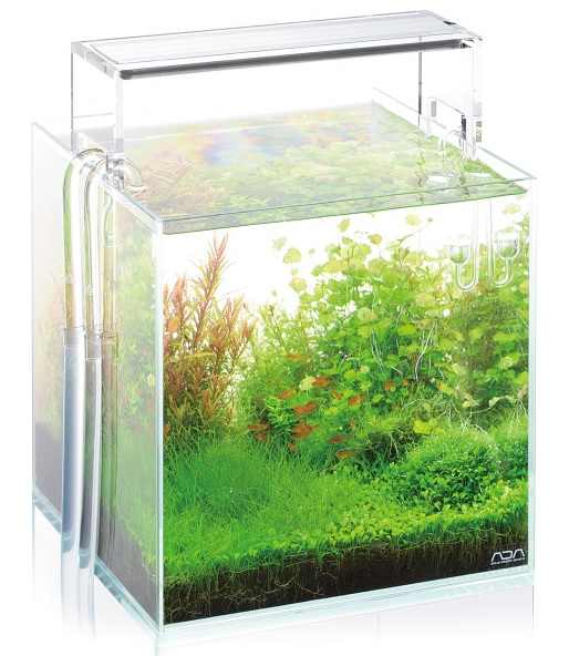 ADA アクアスカイ602 アダプター1個無し ADA アクアスカイG 602 - メルカリ