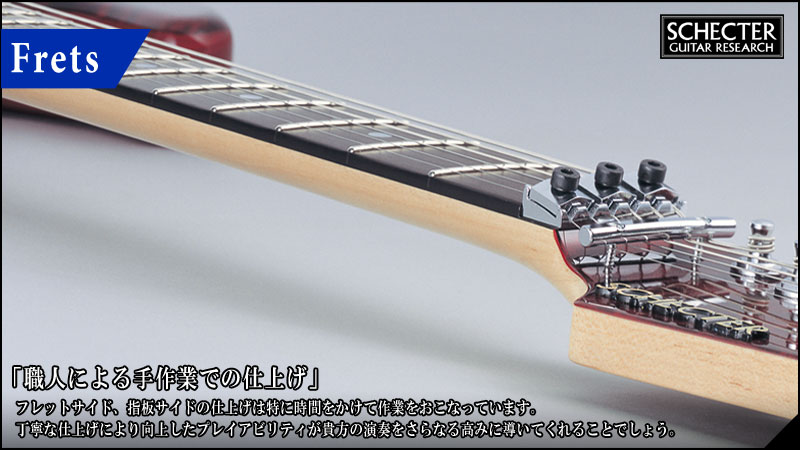 SCHECTER EX-24-STD-FRT | SCHECTER