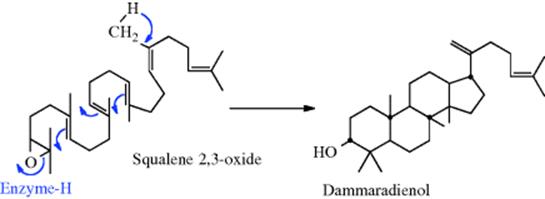 Reactions - Lesson 6 - Addition to Carbon–Carbon Multiple Bonds