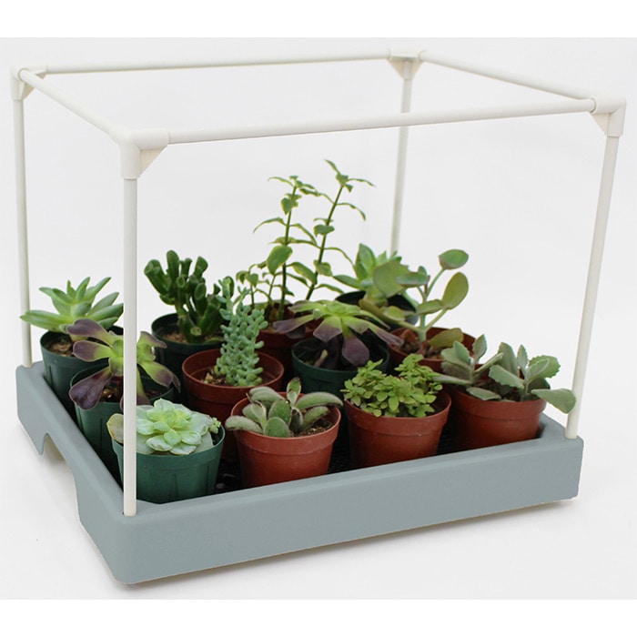 多肉マンション｜種（タネ）,球根,苗,資材,ガーデニンググッズの通販は