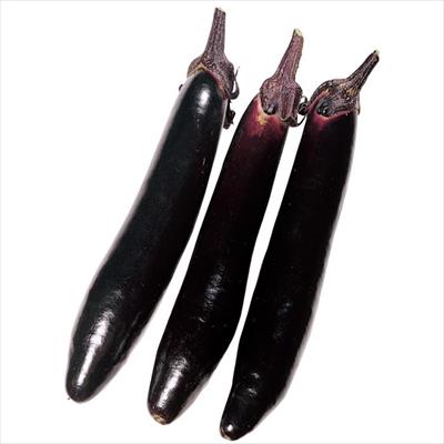 ナス 飛天長｜種（タネ）,球根,苗,資材,ガーデニンググッズの通販は