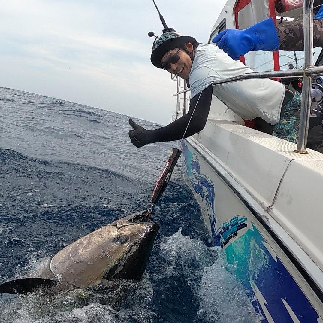 スカイグレイ コイノボリポッパー コイノボリ デブネコ スカイグレイ
