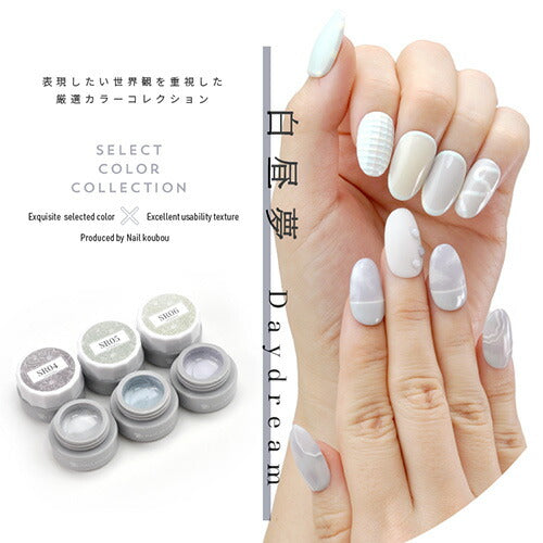 Select color SRシリーズ 白昼夢 パステル グレージュ カラージェル