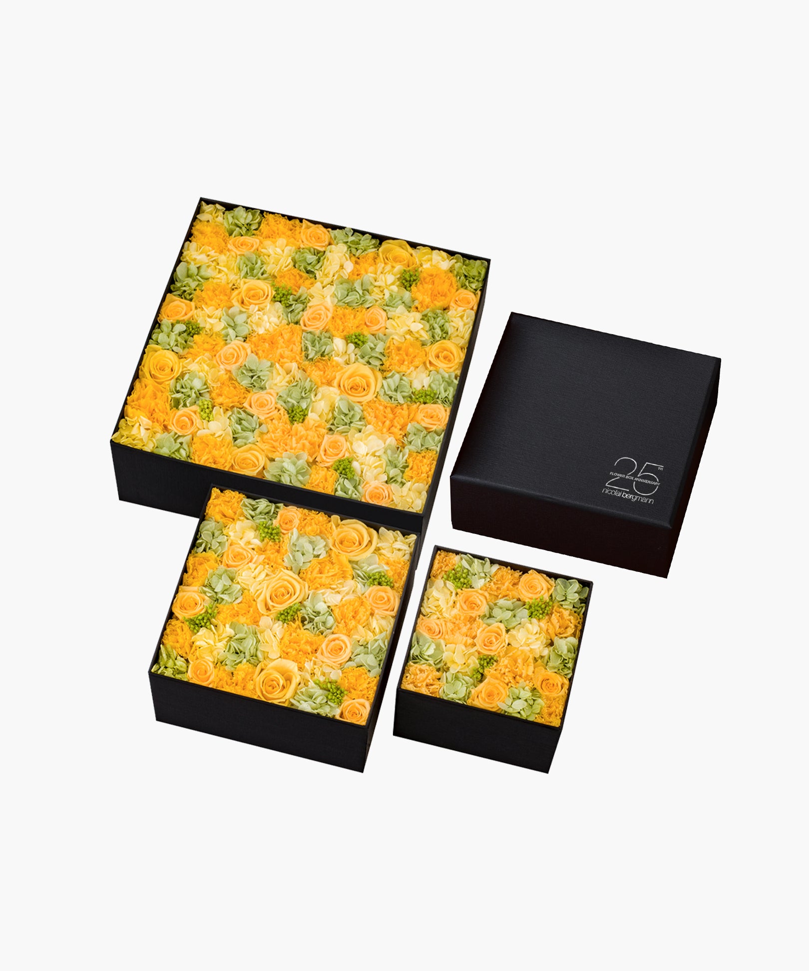 ☆11日24時終了☆ 組み立て式 Maletin Ligero 吉野杉② Sky's your