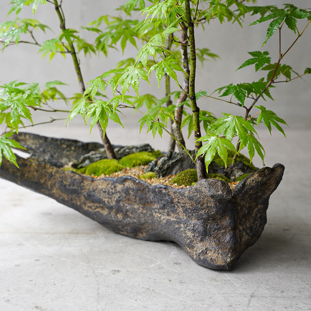 ○23-SJ2 鞍馬鉢 船型 イロハモミジ寄せ植え 石付き – 雨晴/AMAHARE